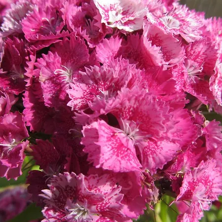 Oda ve Kahvaltı La Robiniere Cerisy-la-Salle