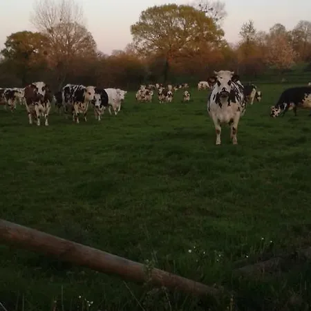 Oda ve Kahvaltı La Robiniere 3*