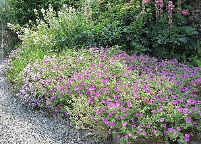 Couette-café La Robinière Cerisy-la-Salle