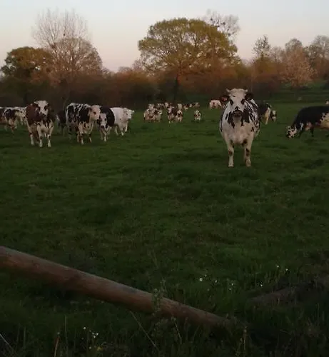 Couette-café La Robinière 3*